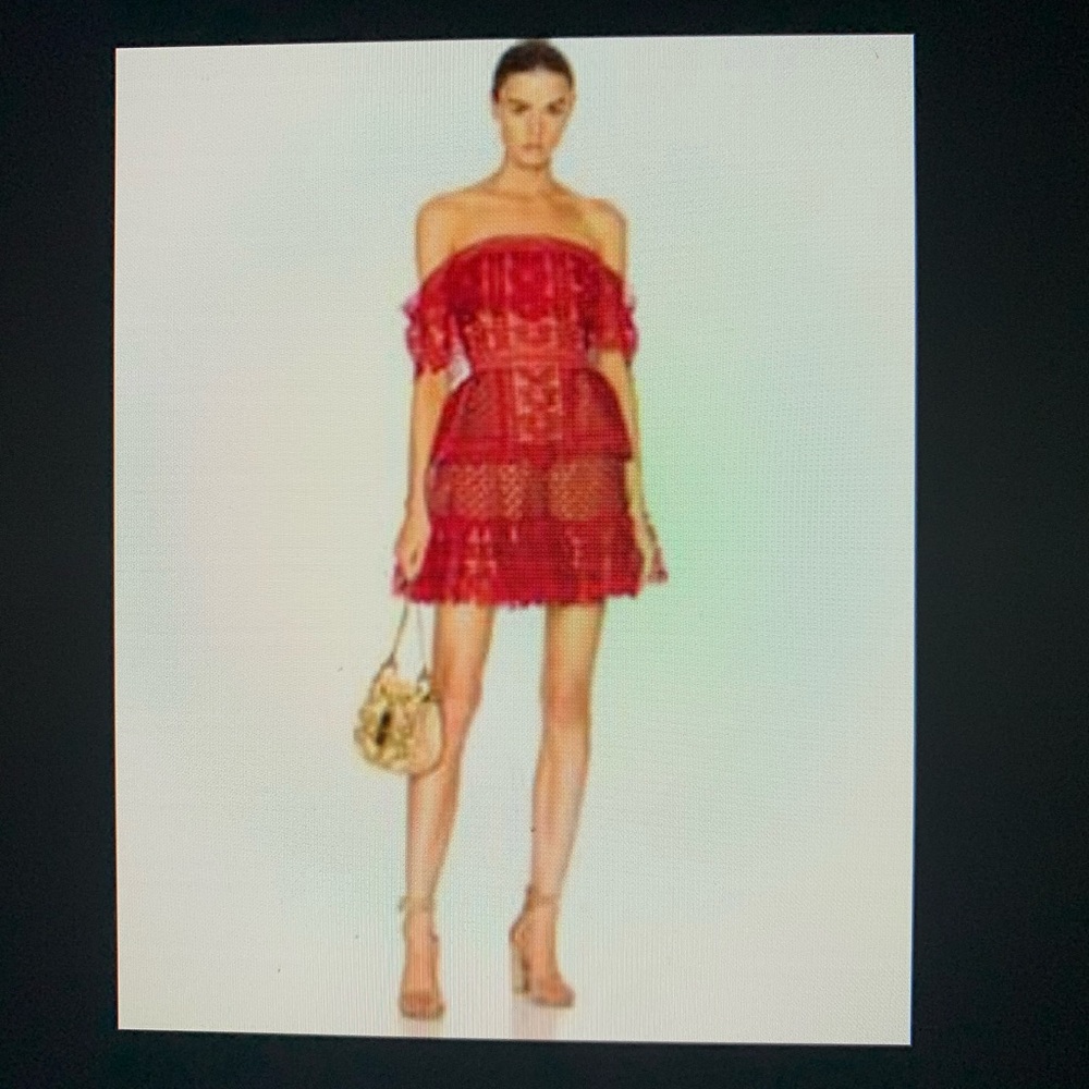 Self-Portrait Guipure red lace dress 6